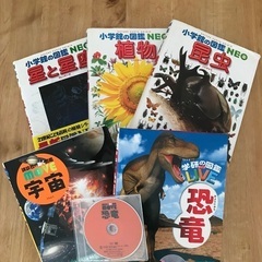 図鑑5冊＋DVD