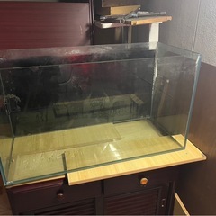 GEX ガラス水槽 90cm 熱帯魚 アクアリウム 大型魚