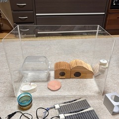 ハムスターすぐ飼えるセット デカいです