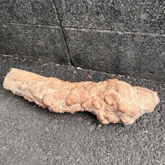 流木