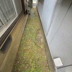 便利屋LOOP「引越し不用品回収一括でできます！」 - 便利屋