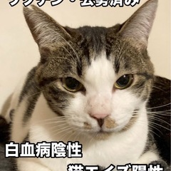まんまるお顔の可愛い男子 - 福岡市