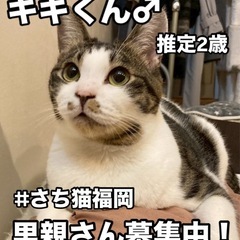 まんまるお顔の可愛い男子