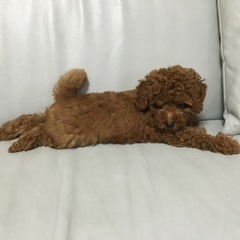 訪問もみほぐし　1時間4000円から