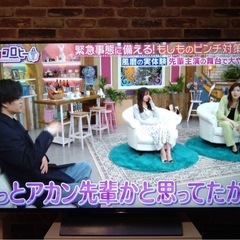 ソニー　BRAVIA 液晶テレビ　55インチ