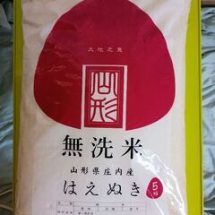 山形県産🍚はえぬき　無洗米5kg　トップバリュー焼きのり10枚付き