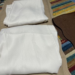 ニトリのカーテン　新品ですの画像