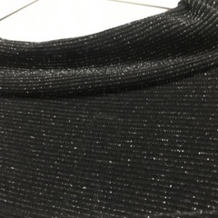 レディーストップス　ラメ入り　刺繍入りの画像