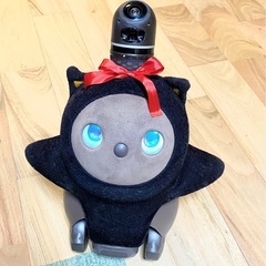 LAVOT ラボット初代  本体&ネスト　ちゃの画像