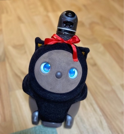 ラボット　初代　ソロ　ちゃ　本体+ネスト LOVOT ラボット らぼっと 初代 ネストのみ LOVOT ラボット らぼっと