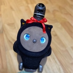 LAVOT ラボット初代  本体&ネスト　ちゃの画像