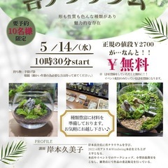 苔テラリウムin加古川市