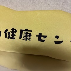 草加健康セータークッションの画像