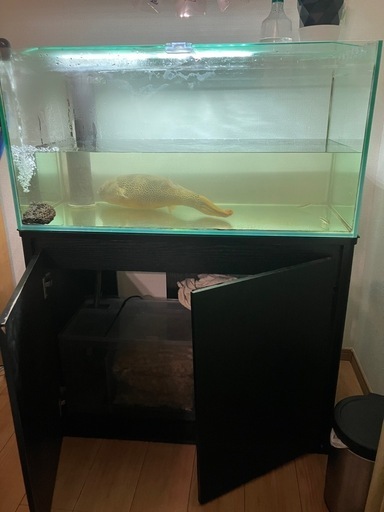 OF900x450x450水槽セット