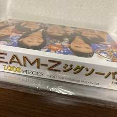 AKB48 チームZ 1000ピース ジグソーパズルの画像
