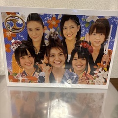 AKB48 チームZ 1000ピース ジグソーパズル