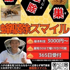 🐝蜂の巣駆除は【蜂駆除スマイル】にお任せ下さい！🐝