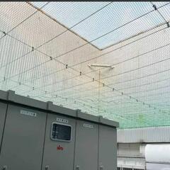 害鳥ネット張り