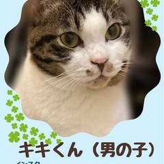 まんまるお顔の可愛い男子 − 福岡県
