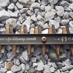 庭木剪定、へッジトリマー、生垣バリカン（依頼品）の画像