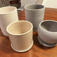 Standard Products 植木鉢の画像