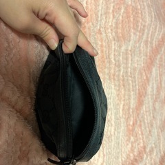 ポーチの画像
