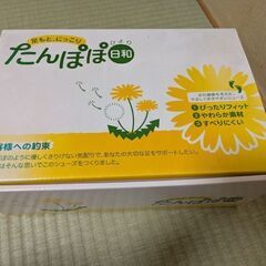 あゆみ たんぽぽ日和 合皮革靴 25.0-25.5cmの画像