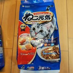 ねこ元気　1キロ(決まりました)の画像