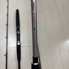 釣竿　シーバスロッドと謎ロッドの画像