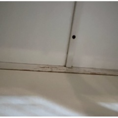 犬用ケージ　トイレルーム付おやすみケージLL　オールホワイトの画像
