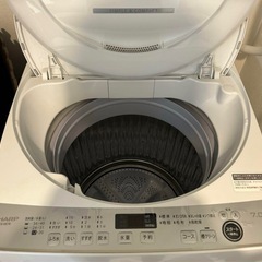 SHARP 洗濯機 