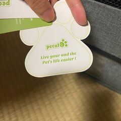 ペキュート Pecute 猫 キャリー リュックペット キャリーバッグ　5/26に処分予定(決まりました。)の画像