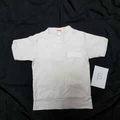 みちる幼稚園 体操服 Tシャツ B 鎌ヶ谷市の画像