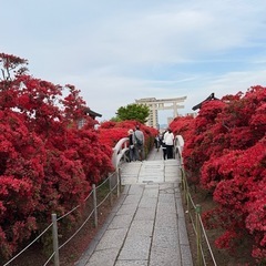 ⛰️京都発軽い登山サークルです⛰️ − 京都府
