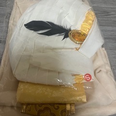 アラジンのコスプレ　購入予定者決定