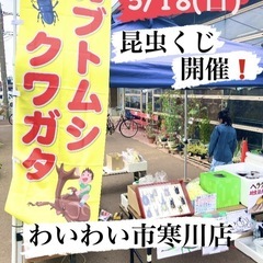 ☘️5/18(日)昆虫くじイベント開催✨わいわい市寒川店✨