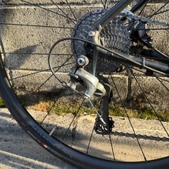 TREK DOMANE AL gen4 サイズ52の画像