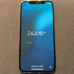 Apple　iPhone12pro シルバーの画像