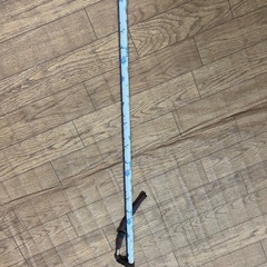 杖