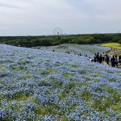 こんばんは