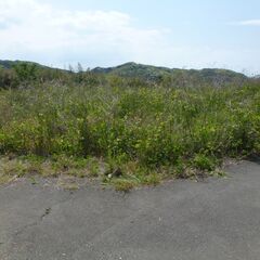 原野商法で荒れ放題の土地の造成します