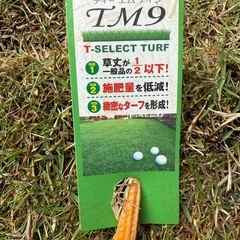芝生　高麗芝　TM9 の画像
