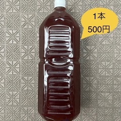 【ゆうメダカ】PSB 2リットル 500円