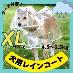 犬用　レインコート　新品　散歩　雨具　透明