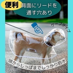 犬用　レインコート　Lサイズ　カッパ　散歩　雨　雨具　透明　全身　フード付き の画像