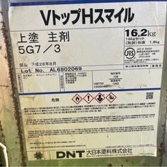 VトップHスマイル 上塗の画像