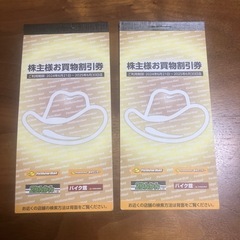 イエローハット株主優待3300円分(2りんかんでも使用可能)