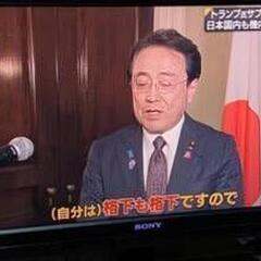 SONY　BRAVIA　液晶　テレビ　地デジ