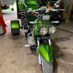 ズーマートライク200cc
