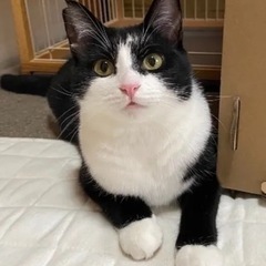 足の白ソックスが可愛いでしょ - あま市